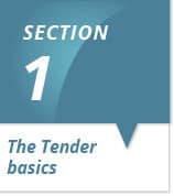 South Africa Tender Basics