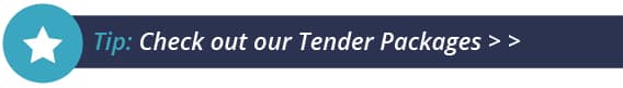 Tips to win Government Tenders in South Africa