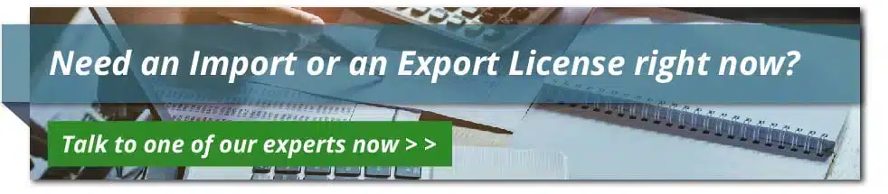 A business professional engaged in the process of applying for an import and export licence, showcasing the ease of managing import and export in South Africa through a reliable service.